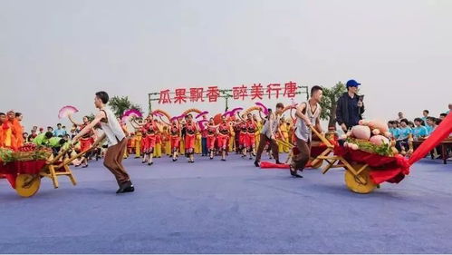 喜迎丰收节 来河北体验采摘乐趣，这30条线路请收下