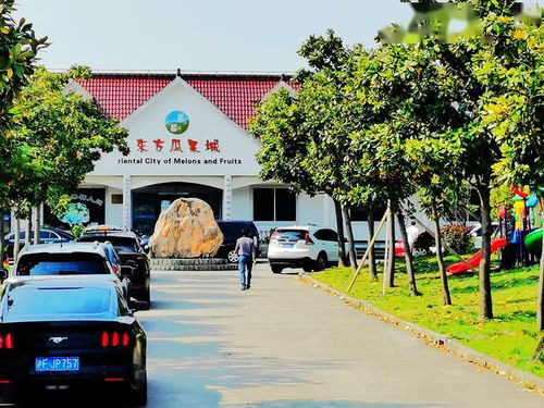 东方瓜果城 农耕乐趣的瓜果乐园，采摘与观光的完美目的地